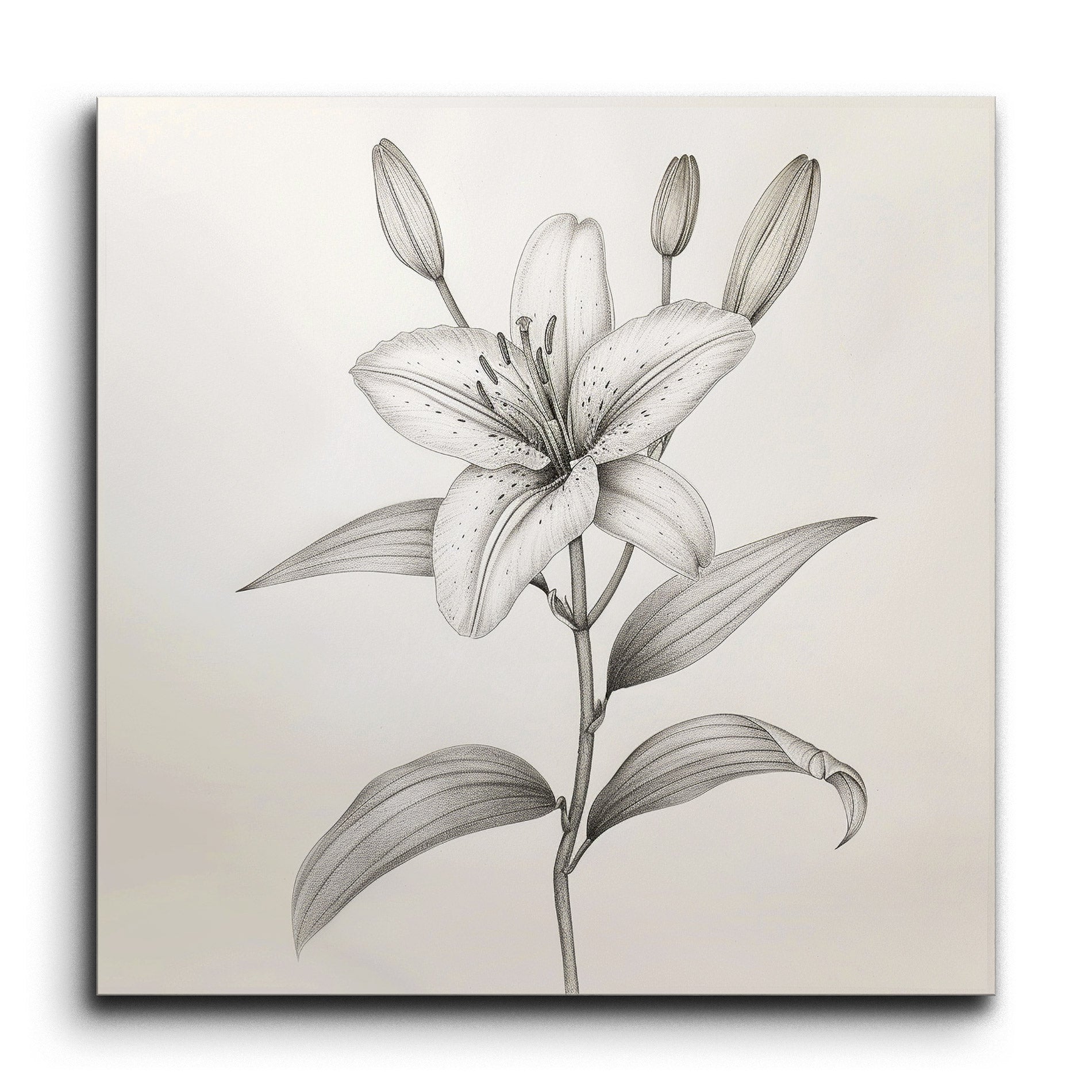 realistic lily flower drawing Elegant Lily Flower Tile Mural